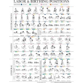 Labor Positions Poster - Birthing Positions Chart - Childbirth Education for Doula, Midwife or Birthworker - 18" x 24" - Laminated
