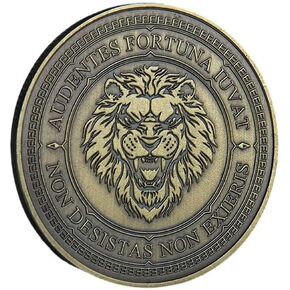 Vegvisir Coin Viking Compass Coin Wayfinder Symbol Nordic Mythology Talisman Coin for Collectors