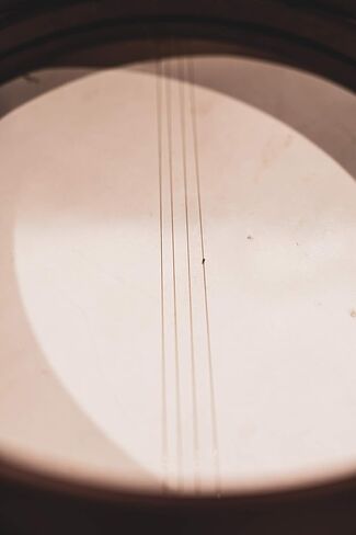 Meinl Percussion 14" Frame Drum with Strings for Buzzing Effect, Bendir-NOT Made in China-Goat Skin Head, Antique Brown Finish, 2-Year Warranty, (FD14BE) in Kuwait