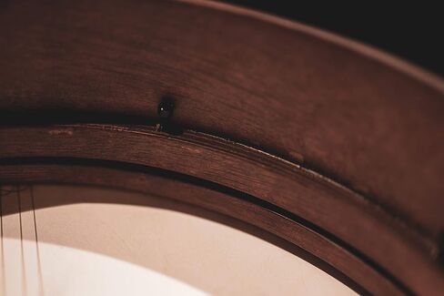 Meinl Percussion 14" Frame Drum with Strings for Buzzing Effect, Bendir-NOT Made in China-Goat Skin Head, Antique Brown Finish, 2-Year Warranty, (FD14BE) in Kuwait