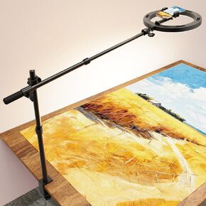 Ring Light Overhead Camera Phone Mount for Desk Tripod - 10" Ring Light with Stand for iPhone - Sturdy Selfie Ringlight with Clamp for Artist,Drawing,Video Recording,Live Streaming,Content Creation