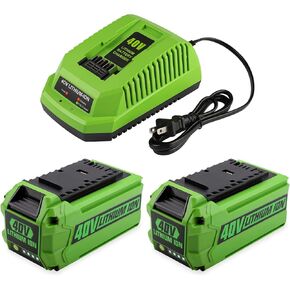 ANTRobut 2-Pack 6.5Ah 40V 29472 29462 Replacement for Greenworks 40V Battery and Charger 29482 Compatible with Greenworks 40V G-MAX Power Tools 29252 20202 22262