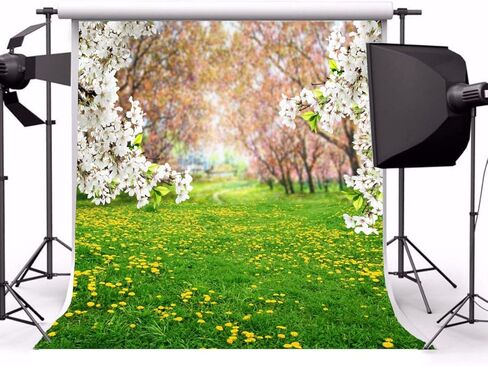 Aofoto 8x8ft مشهد الربيع صور خلفية الريف حديقة حديقة الصفراء الهندباء مرج الزهور الخلفية للتصوير الفوتوغرافي زهور العشب الحلو طفل الطفل صورة صورة استوديو صورة in Kuwait