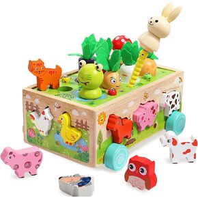 Wooden Montessori Toys for Toddlers 2-4, Farm Animal Magnetic Game Shape Sorter Carrot Harvest Fine Motor Skills for Boys Girls Kids 2 3 4