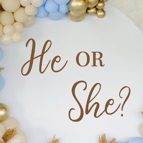 He Or She Wall Decal Decoration，Baby Shower Party Decal Sign，Gender Reveal Party Decorations, Arch Decorations Vinyl Stickers for Backdrop Party Supply.