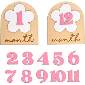 Daisy Milestone Photo Props Baby Disc - Flower Theme First Birthday Wooden Cards Sign,Baby Announcement Sign for Baby Shower Girls,Monthly Markers Wooden Plaques with 12 Pink Numbers