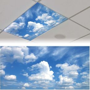 2Pcs Fluorescent Light Covers,Sky Flowers Magnetic Light Cover, Ceiling Light Cover Classroom Light Filters Cubicle Light Shield for Classroom Office Home, 2 x 4 ft