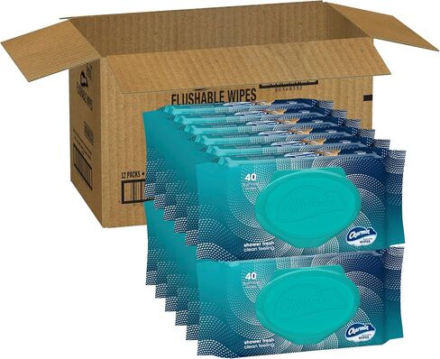 Charmin Flushable Wipes, 160 Total Wipes (4 Packs of 40) in Saudi Arabia