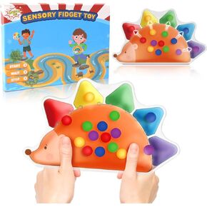 Color Sorting Toys Sensory Toys, Fine Motor Skills Game for Toddlers, Travel Color Matching Toys, Preschool Learning Activities, Montessori Calm Down Toys for Kids Boys Girls Ages 3+ Gifts