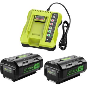 Ryobi 2Pack 6.5Ah 40V Battery and Charger Kit - Replacement for Ryobi 40V Lithium Battery