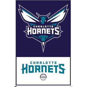 Trends International NBA Charlotte Hornets - Logo 21 Wall Poster, 22.375" x 34", Unframed Version