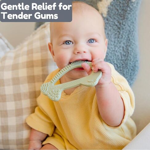 Baby’s Aid Dolphin Silicone Teething Toy, Easy to Hold Baby Teether with 8 Textures for 3+ Months, BPA Free Silicone Teethers for Babies, Soothe Gums, Infant & Toddler Chew Toys, Durable Teething Toys in Saudi Arabia