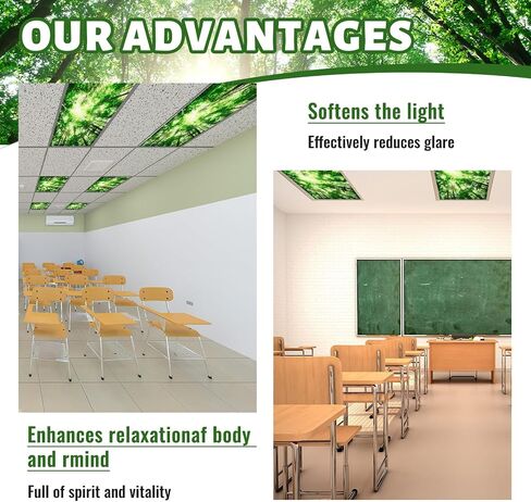 12 Pcs Classroom Fluorescent Light Covers Bulk, Seasons Forest in Saudi Arabia