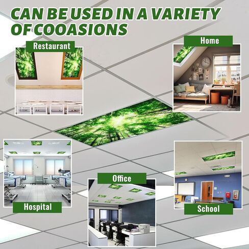 12 Pcs Classroom Fluorescent Light Covers Bulk, Seasons Forest in Saudi Arabia