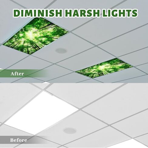 12 Pcs Classroom Fluorescent Light Covers Bulk, Seasons Forest in Saudi Arabia