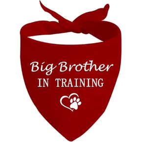 JXGZSO 1 Piece Big Sister/Brother in Training Dog Bandana Dog Pregnancy Announcement Gift (Big Sister D)