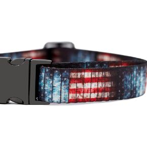 Rustic American Flag Collars and Leashes | Officially Licensed | Fits All Pets! (6 Foot Leash)