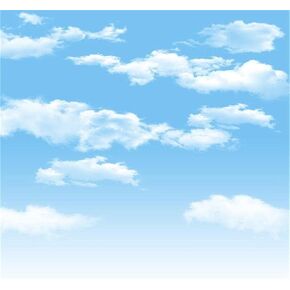 AOFOTO 4x6ft Blue Sky Backdrops White Clouds Photography Background Photo Studio Props Fall Party Decoration Summer Baby Infant Kid Newborn Toddler Girl Boy Adult Artistic Portrait Vinyl Wallpaper