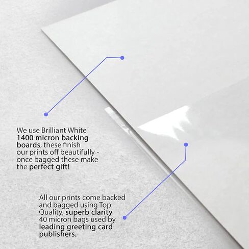 HWC Trading Harry Maguire England هدايا مؤطرة مطبوعة صورة توقيع موقعة لمحبي كرة القدم ومؤيديها - مقاس حرف أمريكي in Kuwait