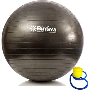 bintiva Exercise Ball