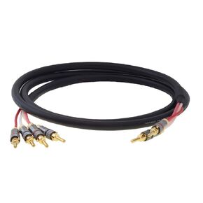 Blue Jeans Cable Canare 4S11 Speaker Cable, with Ultrasonically-Welded Bi-Wire Terminations (One Cable - for one Speaker); Assembled in The USA (10 Foot, Black, Two Bananas to Four Bananas)