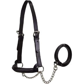 Derby Originals Premium Raised Padded Fancy Stitch Leather Cattle Show Halter with Matching Chain Lead