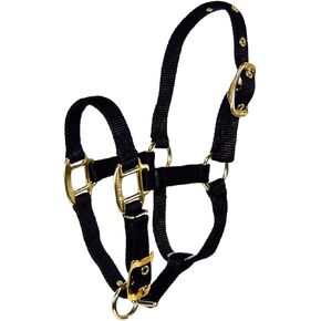 Hamilton 3/4 Inch Nylon Adjustable Halter, Weanling 200 to 300 lbs, Berry Blue