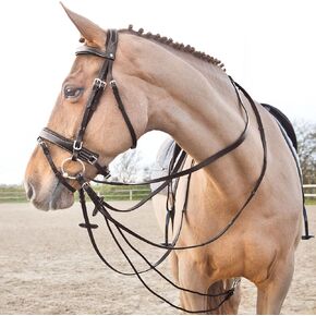 HORZE Sparta Nylon/Leather Draw Reins