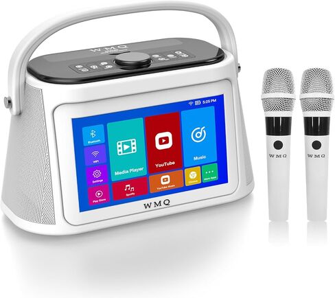 Adult Karaoke Machine with Lyrics Display, 10.1'' Touchable HD Display, Karaoke Speakers with 2 Wireless Microphones with 13th Generation Tablet System, Bluetooth 5.3/AUX/USB/TF Audio Input, Black in Saudi Arabia