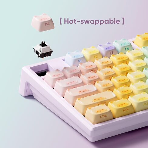 AKKO MG108B Colorful Cats Mechanical Keyboard Hot-Swappable Multi-Mode Gaming Keyboard with PBT Dye-Sub Mao Profile Keycaps Pre Lubed Piano Switch in Saudi Arabia