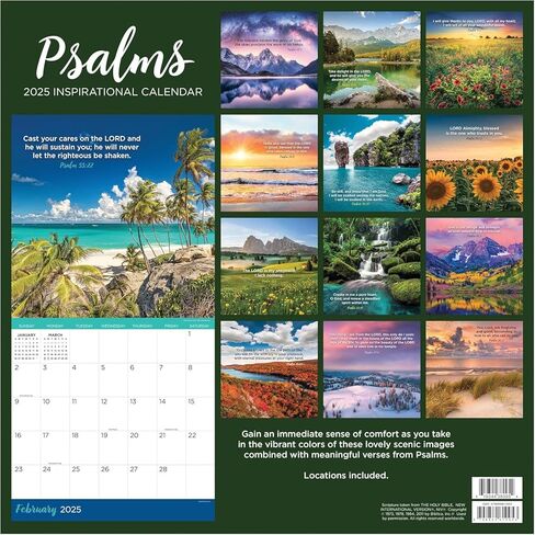 TF PUBLISHING 2025 Psalms Wall Calendar | Large Grids for Appointments and Scheduling | Vertical Monthly Wall Calendar 2025 | Home & Office Organization | Thick Gloss Paper | 12"x12" in Saudi Arabia