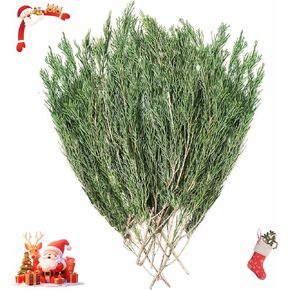 6OZ Preserved Real Pine Leaves Branches -17'' Natural Christmas Greenery Plants Pine Twigs Stems Pine Needles Evergreen Picks for Garland Wreath Xmas Wedding Home Party Decor
