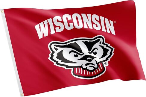 Desert Cactus University of Wisconsin Flag Badgers UW Madison Banners 100 ٪ Polyester Indoor Outdoor 3X5 FET Flags (Design 7) in Saudi Arabia