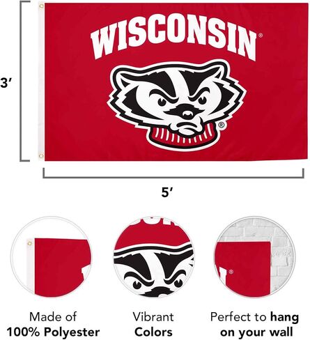 Desert Cactus University of Wisconsin Flag Badgers UW Madison Banners 100 ٪ Polyester Indoor Outdoor 3X5 FET Flags (Design 7) in Saudi Arabia