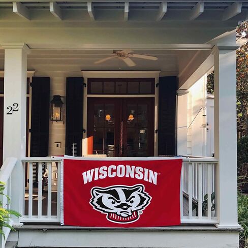 Desert Cactus University of Wisconsin Flag Badgers UW Madison Banners 100 ٪ Polyester Indoor Outdoor 3X5 FET Flags (Design 7) in Saudi Arabia