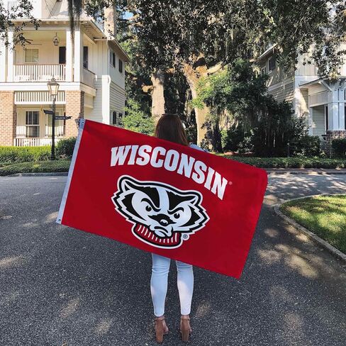 Desert Cactus University of Wisconsin Flag Badgers UW Madison Banners 100 ٪ Polyester Indoor Outdoor 3X5 FET Flags (Design 7) in Saudi Arabia