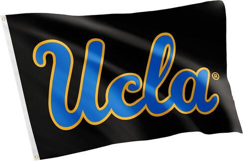 Desert Cactus UCLA Flag University of California Los Angeles Bruins Flag Banners 100% Polyester Indoor Outdoor 3x5 feet Flags (Style 1) in Saudi Arabia