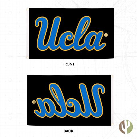Desert Cactus UCLA Flag University of California Los Angeles Bruins Flag Banners 100% Polyester Indoor Outdoor 3x5 feet Flags (Style 1) in Saudi Arabia