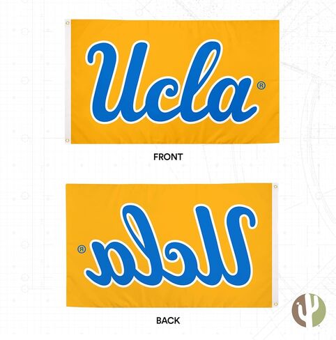 Desert Cactus UCLA Flag University of California Los Angeles Bruins Flag Banners 100% Polyester Indoor Outdoor 3x5 feet Flags (Style 1) in Saudi Arabia