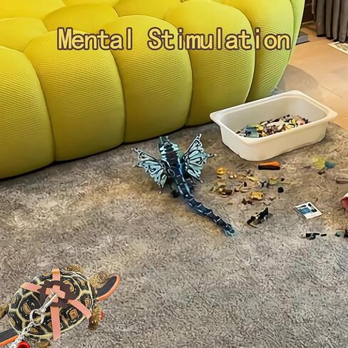 Turtles Playing and Training Toys Set, 1 Adjustable Tortoise Leash 2 Reptile Skateboards 2 Treat Ball, Turtle Fast Skate Accessory Funny Pet Mini Walking Skateboards for Parrot(Yellow Small) in Saudi Arabia