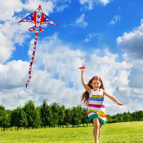 Xida Dragon Kites للأطفال الذين تتراوح أعمارهم بين 4 و 8 سنوات ، يسهل الطيران الطائرات الورقية للأطفال والبالغين ، طائرة ورقية المبتدئين للفتيان والبنات ، مقبض الطائرات الورقية وسلسلة ، طائرة ورقية سهلة التجميع لجميع الأعمار in Kuwait