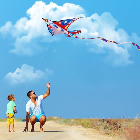 Xida Dragon Kites للأطفال الذين تتراوح أعمارهم بين 4 و 8 سنوات ، يسهل الطيران الطائرات الورقية للأطفال والبالغين ، طائرة ورقية المبتدئين للفتيان والبنات ، مقبض الطائرات الورقية وسلسلة ، طائرة ورقية سهلة التجميع لجميع الأعمار in Kuwait