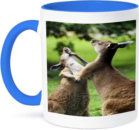3dRose mug_51563_1 Fighting Kangaroos Ceramic Mug, 11-Ounce in Saudi Arabia
