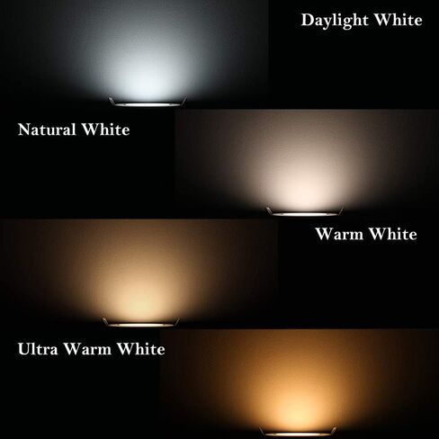 2 Inch LED Recessed Lighting, 3000K Warm White, 3W(35W Halogen Equivalent) Dimmable LED Downlight, CRI80, LED Ceiling Lights with LED Driver (6 Pack) in Saudi Arabia
