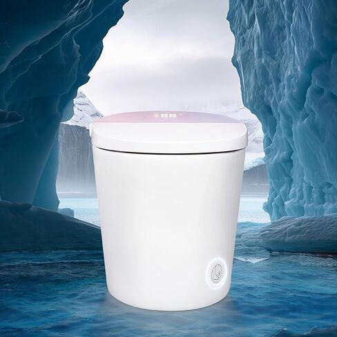 RS60 Excellent Smart Toilet,Twelve-layer security protection,Low pressure flushing, Auto flush,Remote control,Night light,Heated seat,LED,drying,Deodorization in Saudi Arabia