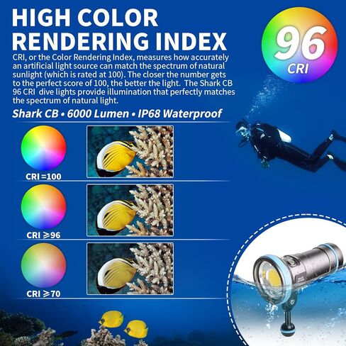 Shark CB 6000 Lumen Dive Light, 120m Waterproof Underwater Video Light 96 CRI with 120 Degree Wide Beam Angle Scuba Flashlight for Underwater Professional Dive Photography Fill Light in Saudi Arabia