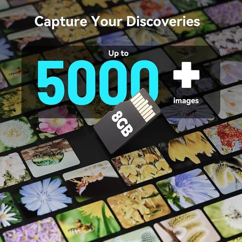 المجهر للأطفال البالغين ، 100x عدسة مكبرة رقمية مع الضوء ، HP30 المجوهرات المحمولة LOUPE مع الشاشة ، مكبّر عملة USB المحمولة للجمع ، Pocket 2 "LCD Mini Scope for Trichome in Saudi Arabia