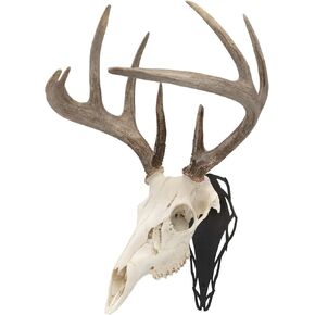 Allen CompanySilhouette Skull Peg