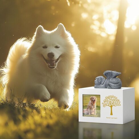 Pet Urn for Dog Ashes Dog Box Wooden Black Dog Urns for Ashes Pet Ashes Box with Dog Angel and Ashes Bag in Saudi Arabia