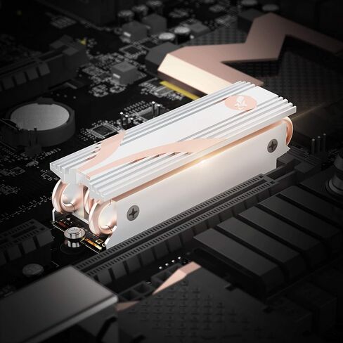 SABRENT M.2 2280 SSD Rocket Heatsink (SB-HTSK) in Saudi Arabia